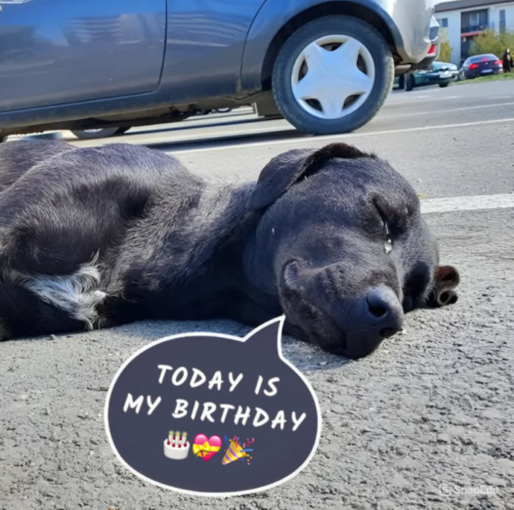 Today is my birthday, but instead of feeling happy, I’m feeling down because no one has remembered to send me birthday wishes. 🎂😔 -ltbl
