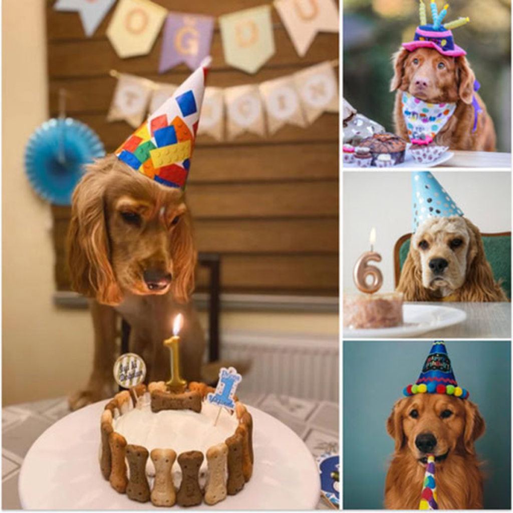 Today is my birthday, but loneliness wraps around me like a cold embrace because no one has remembered to celebrate with me. -dtht