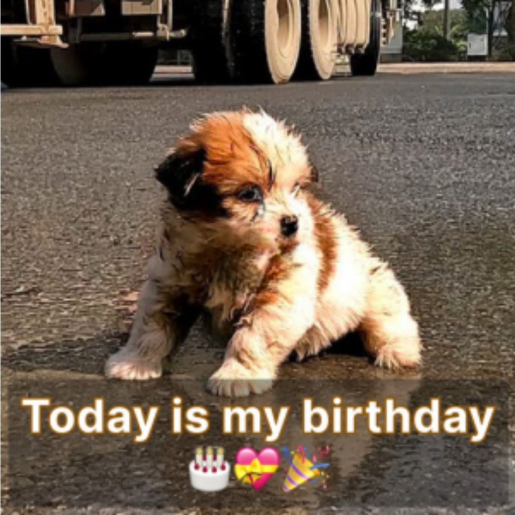 Today is my birthday, yet no blessings have come my way so far. -dtht