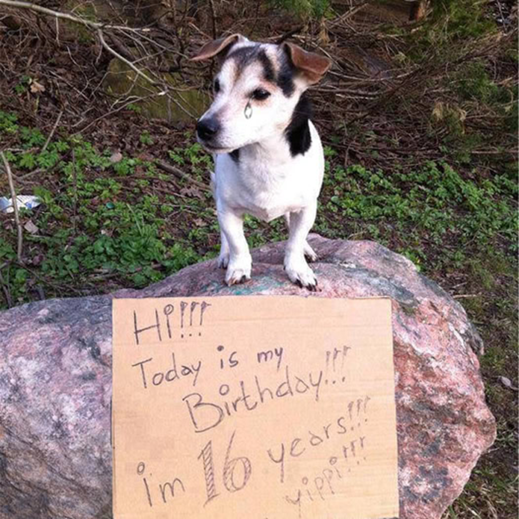 It’s my birthday today, but no one has wished me yet. -dtht