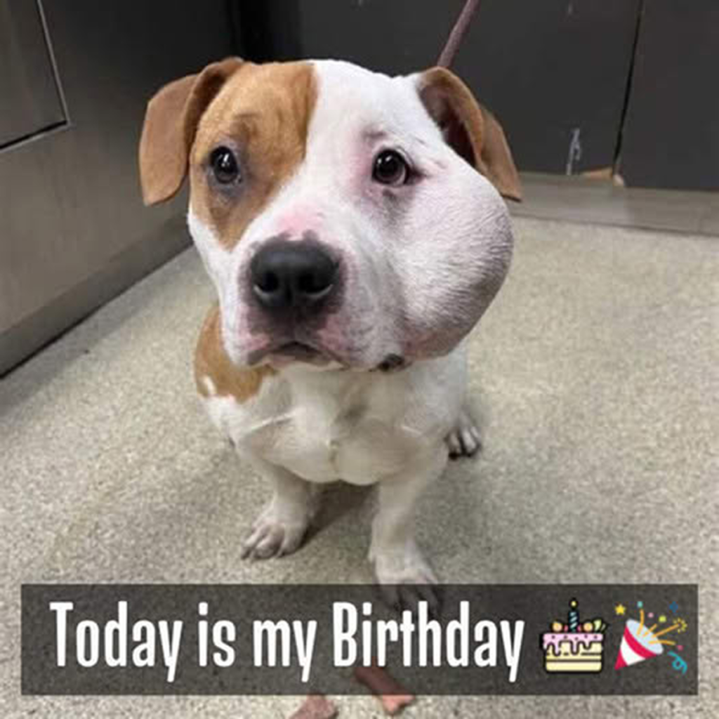 It's my birthday today, but no one has sent any wishes yet—maybe everyone forgot .dvh