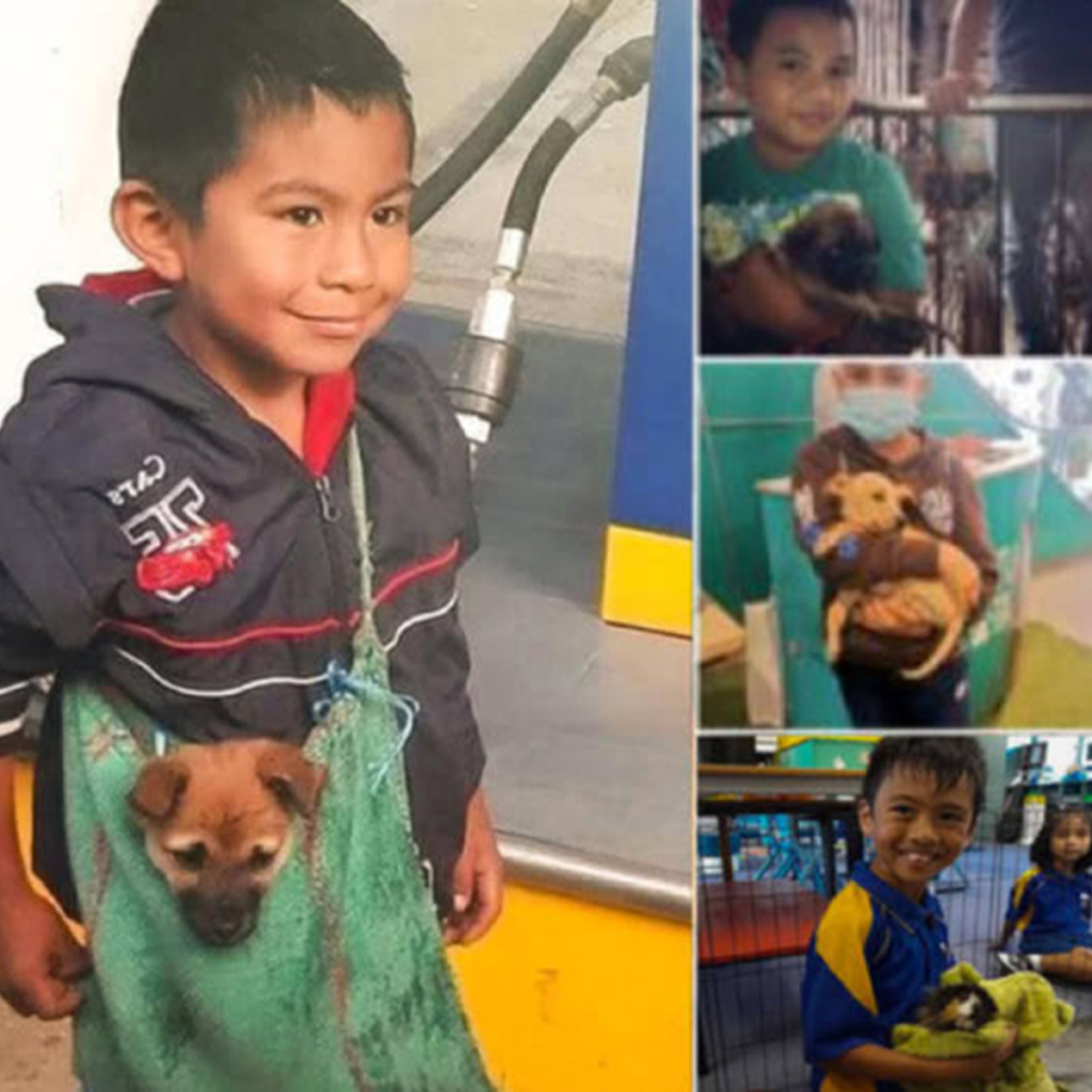 A devoted boy travels 15 kilometers each day, carrying his faithful dog as he sets out on a touching journey to gather food donations. -dtht