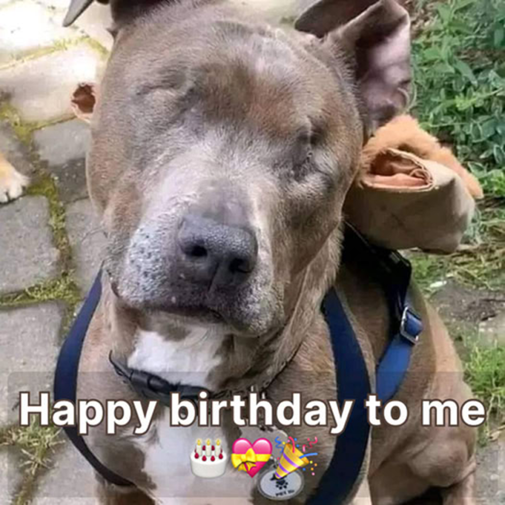 Brightening a World Without Sight Through Love and Joy 😔🎂 -ltbl