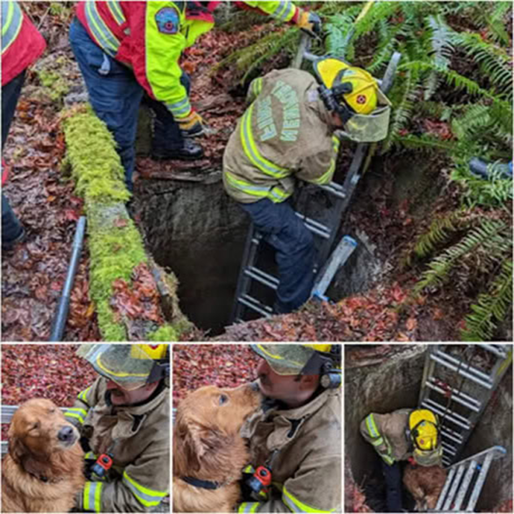 Displaying steadfast bravery, firefighters rescue a dog stuck in a well, proving their commitment to safeguarding every life—human and animal alike -ltbl