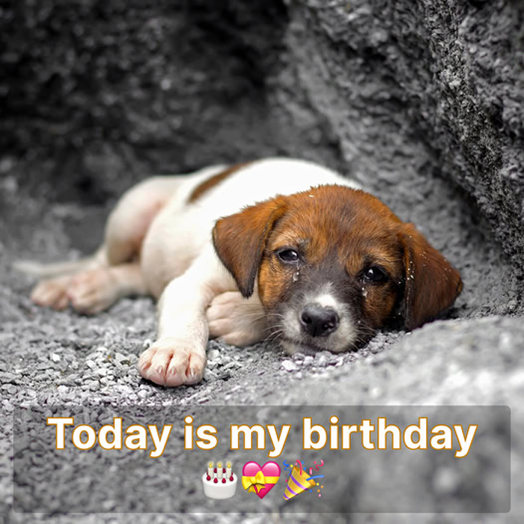 Even though it's my birthday today, I haven't gotten any birthday messages. -dtht