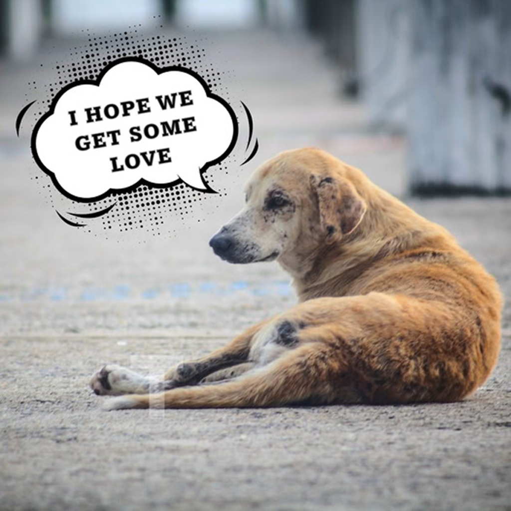 I'm a bit sad on my birthday today—no birthday messages from anyone so far. -dtht