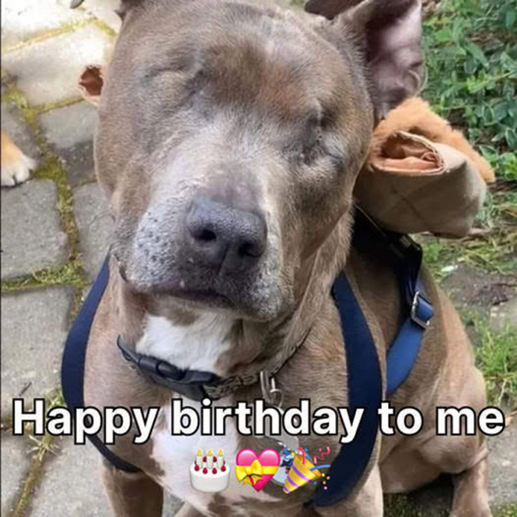 It’s my birthday today, and I’m quietly waiting for someone to remember and send their wishes. I can’t help feeling a little down. -dtht