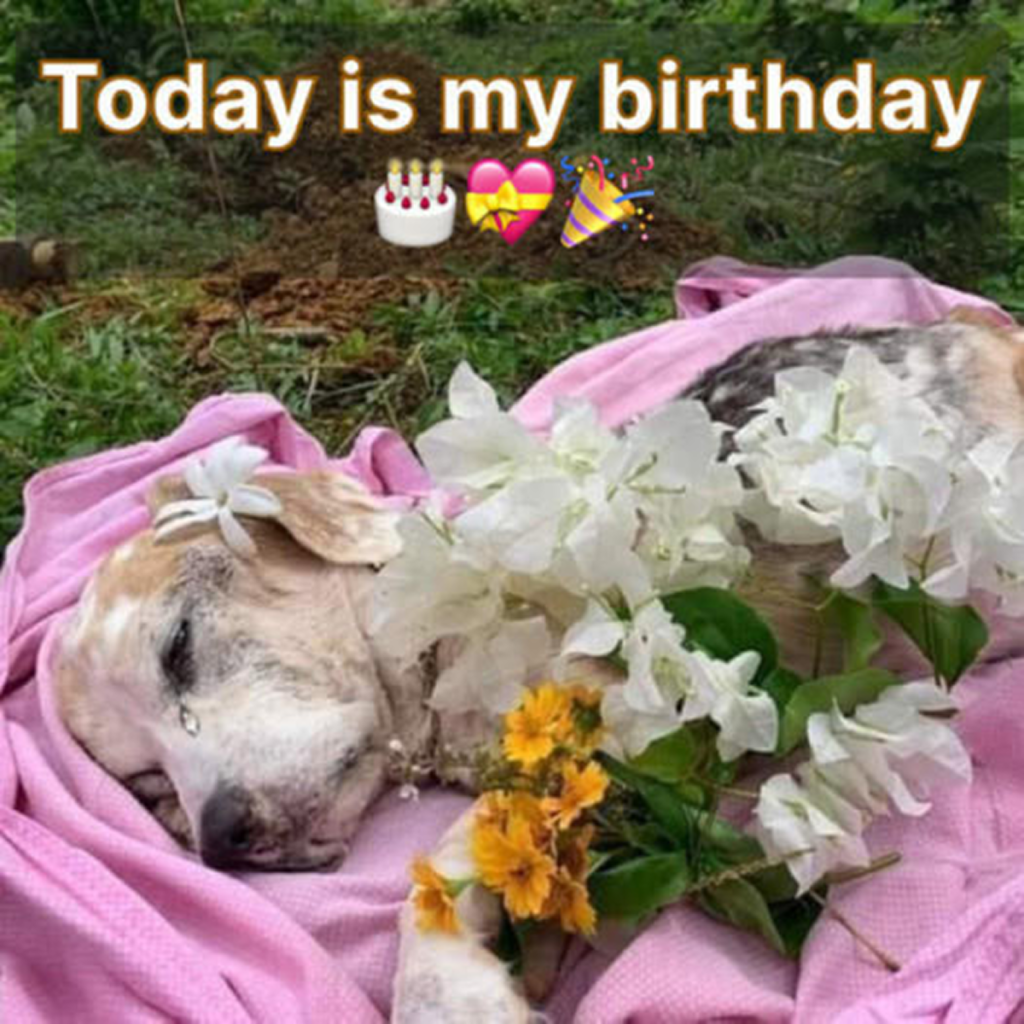 It’s my birthday today, and as the day slips by, the quiet only deepens the feeling of being alone -ltbl