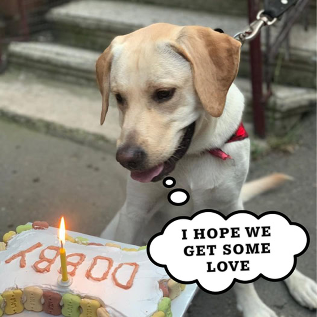 It's my birthday today, but I can't help feeling down because no one has remembered to wish me. 🎂😔 -ltbl