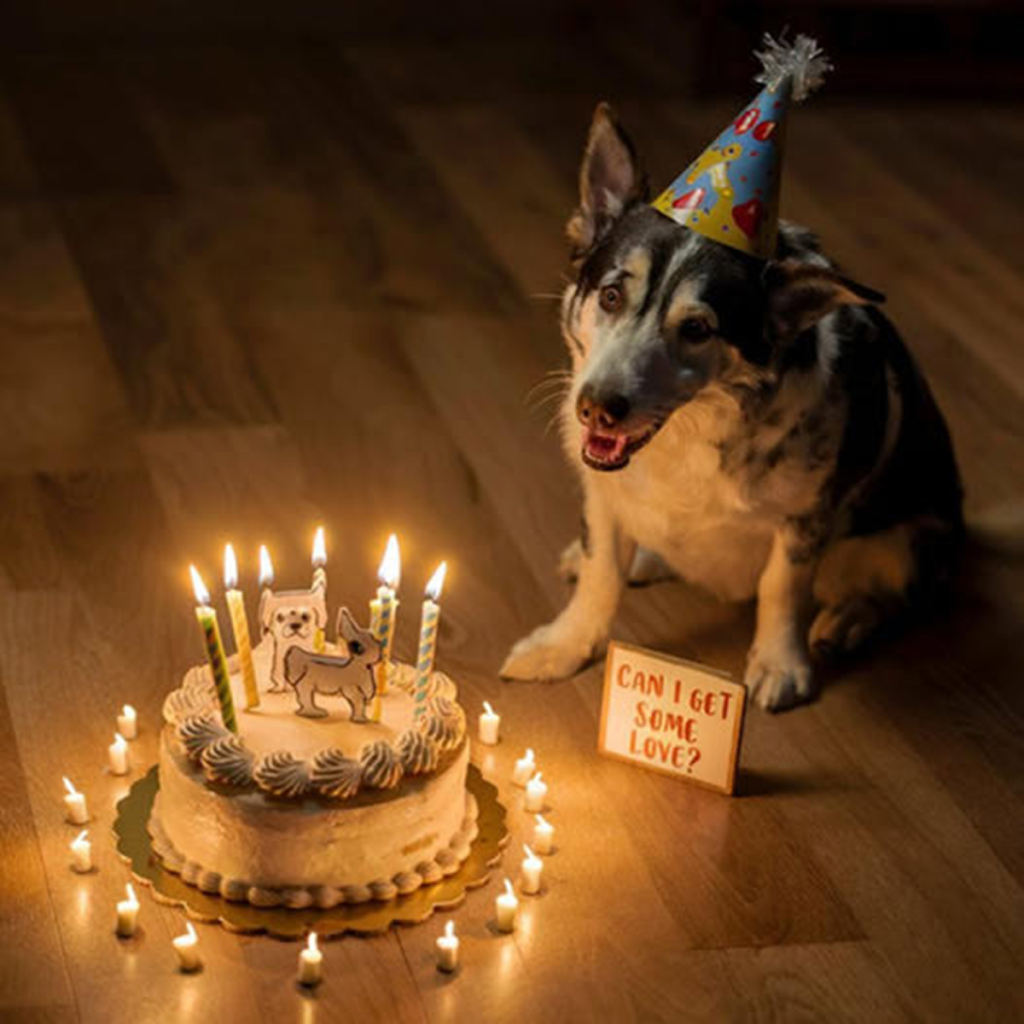 It's my birthday today, but I feel really sad because nobody has wished me a happy birthday. -dtht