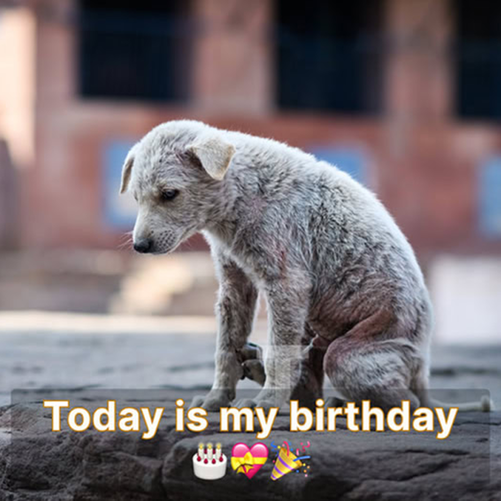 It’s my birthday today, but the loneliness lingers because no one has taken a moment to wish me well -ltbl