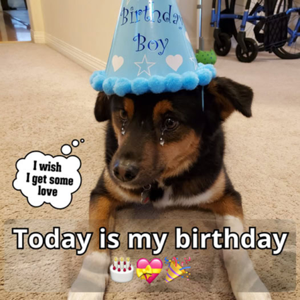 It’s my birthday today, but without anyone to celebrate with, the day feels empty and alone. 😔🎂 -ltbl