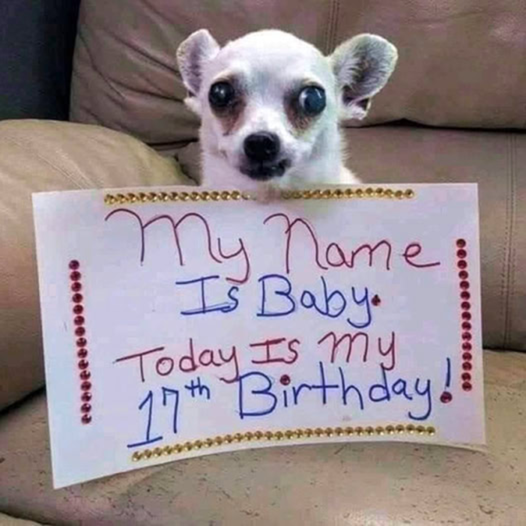My birthday feels incomplete without him—still holding on to a small hope for joy today -ltbl