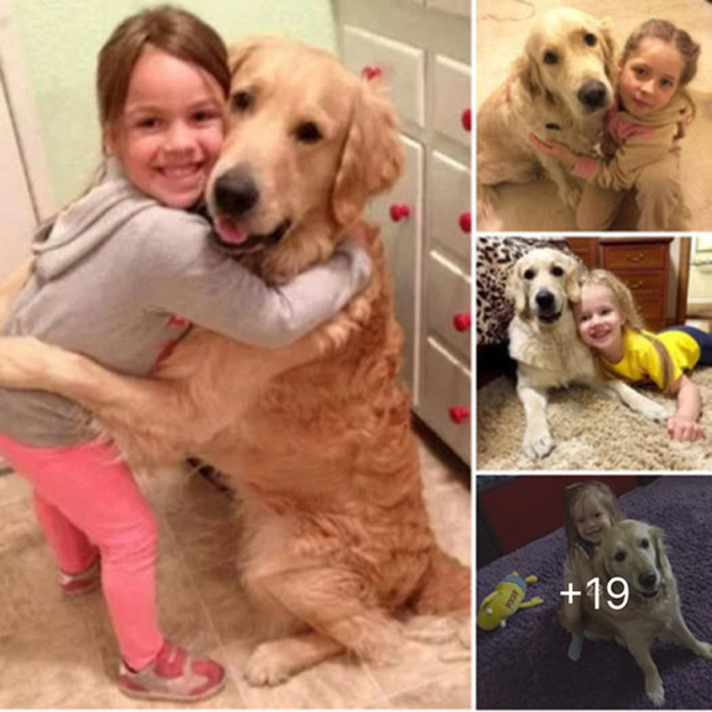 The emotional reunion between a dog and his young owner after 300 days apart has moved millions, with many eager to uncover the story behind their tearful embrace -ltbl