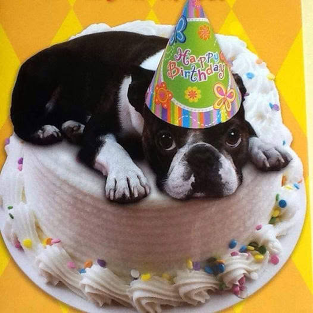 The stillness today feels unsettling, as though it’s bringing to the surface the fears I’ve tried to hide. 😔🎂 -ltbl