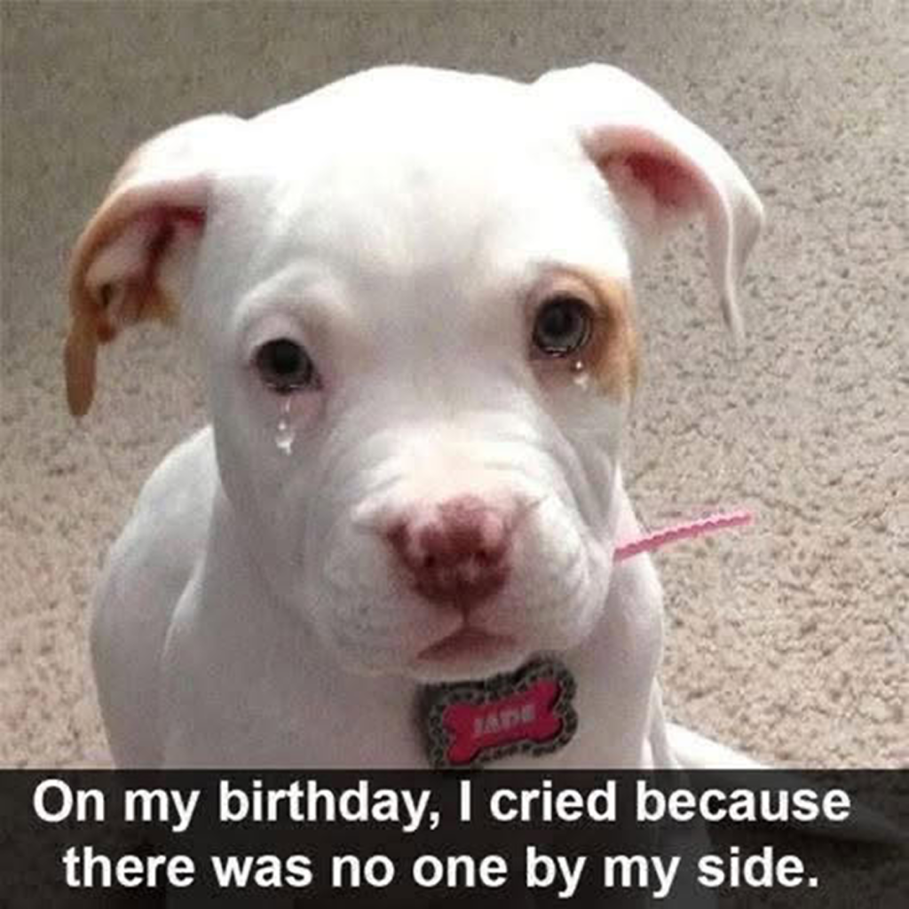 Today is my birthday, but I haven’t received any birthday messages. Maybe everyone forgot. -dtht