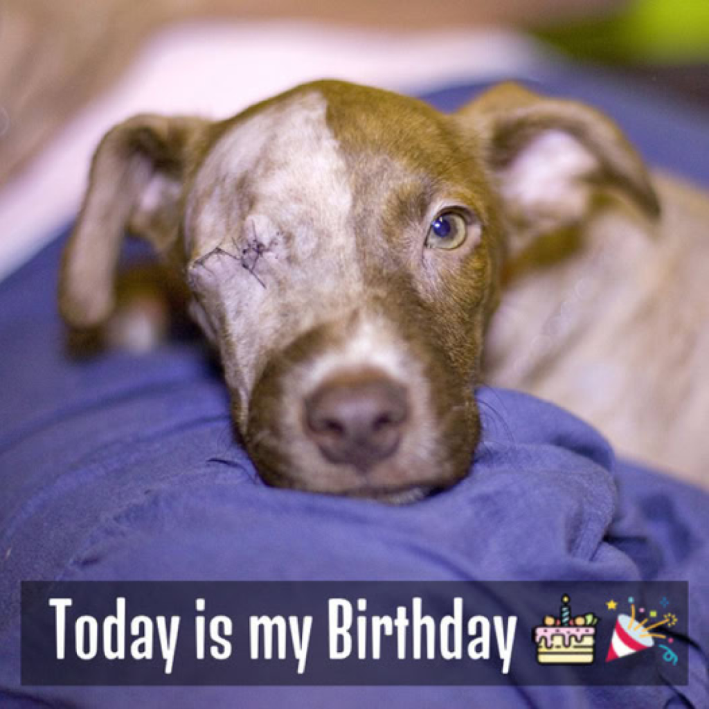 Today is my birthday, but no one has wished me yet 😔🎂  -ltbl