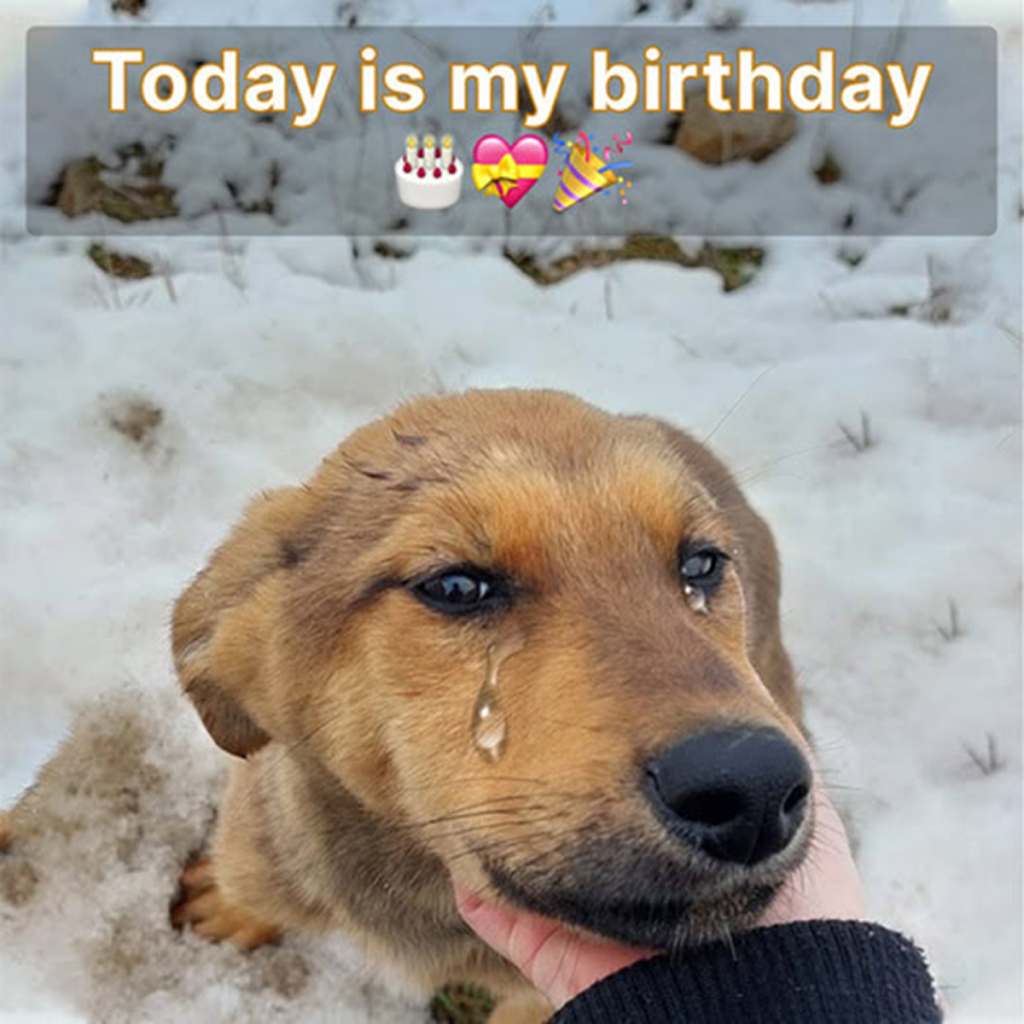 Today is supposed to be my special day, but no one has remembered to wish me a happy birthday.- dtht