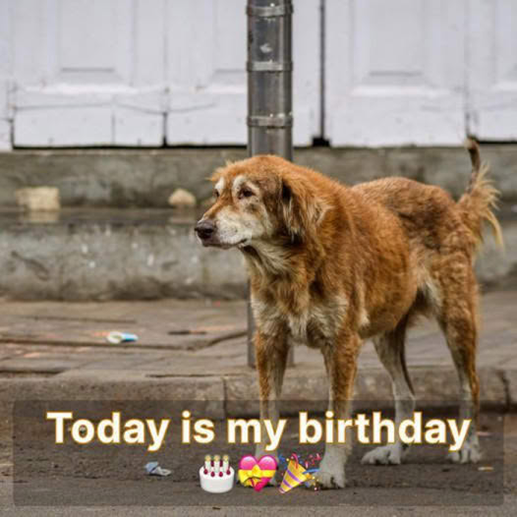 Today marks my birthday, yet I still find myself waiting for a simple birthday message. It’s hard not to feel a little hurt. -dtht